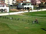 oct0854.jpg
